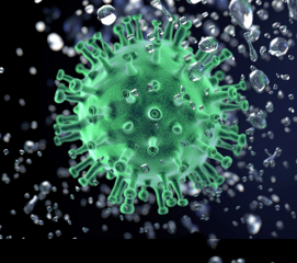 Herpes-virus Infections